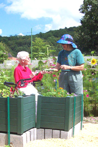 The Heath Village Garden
