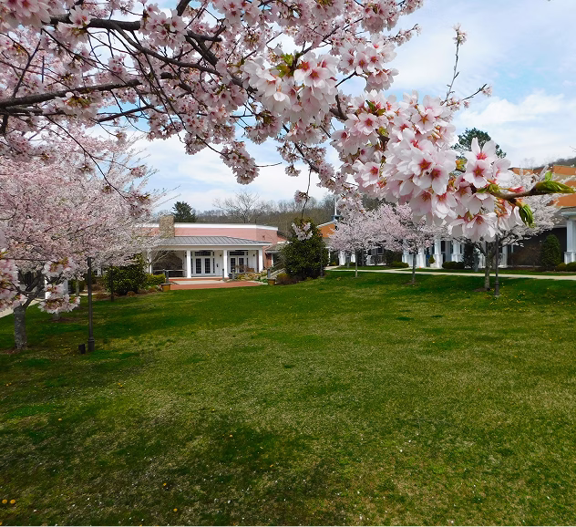 Exterior of Heath Village with trees blooming in focus