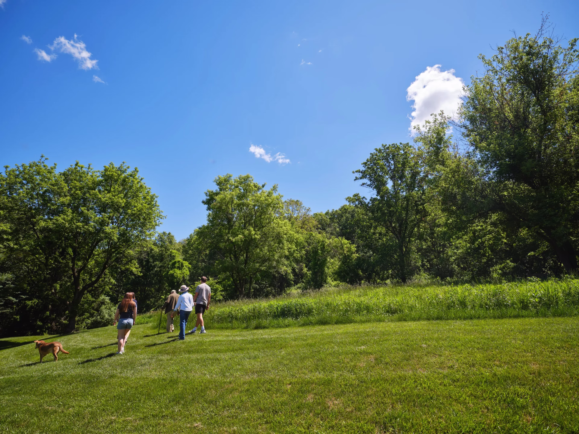 Family exploring outdoor path with dog