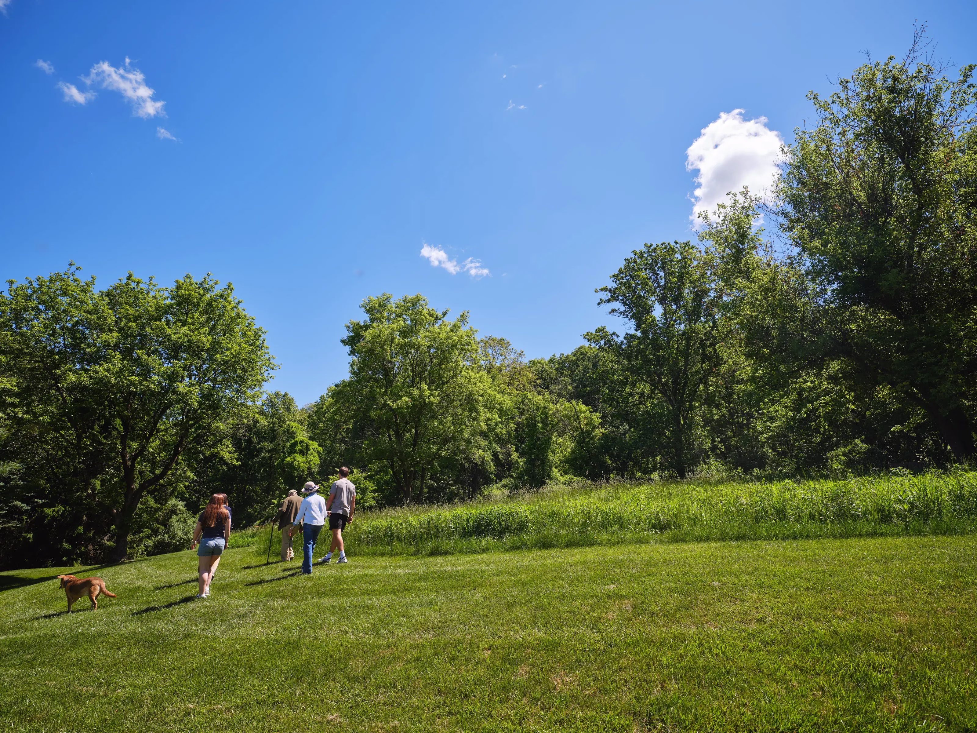 Family exploring outdoor path with dog