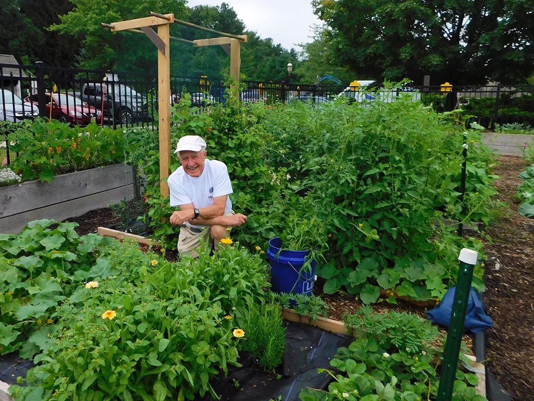 Man in garden