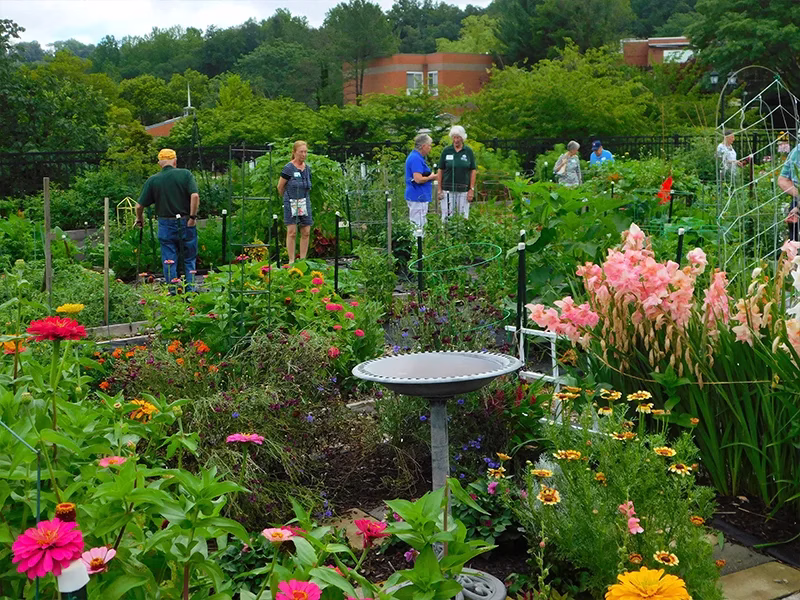 Residents in garden