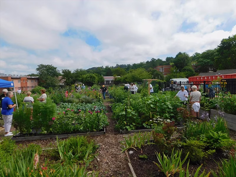 Residents working in outdoor garden