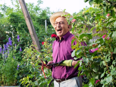 Man tending garden of flowers