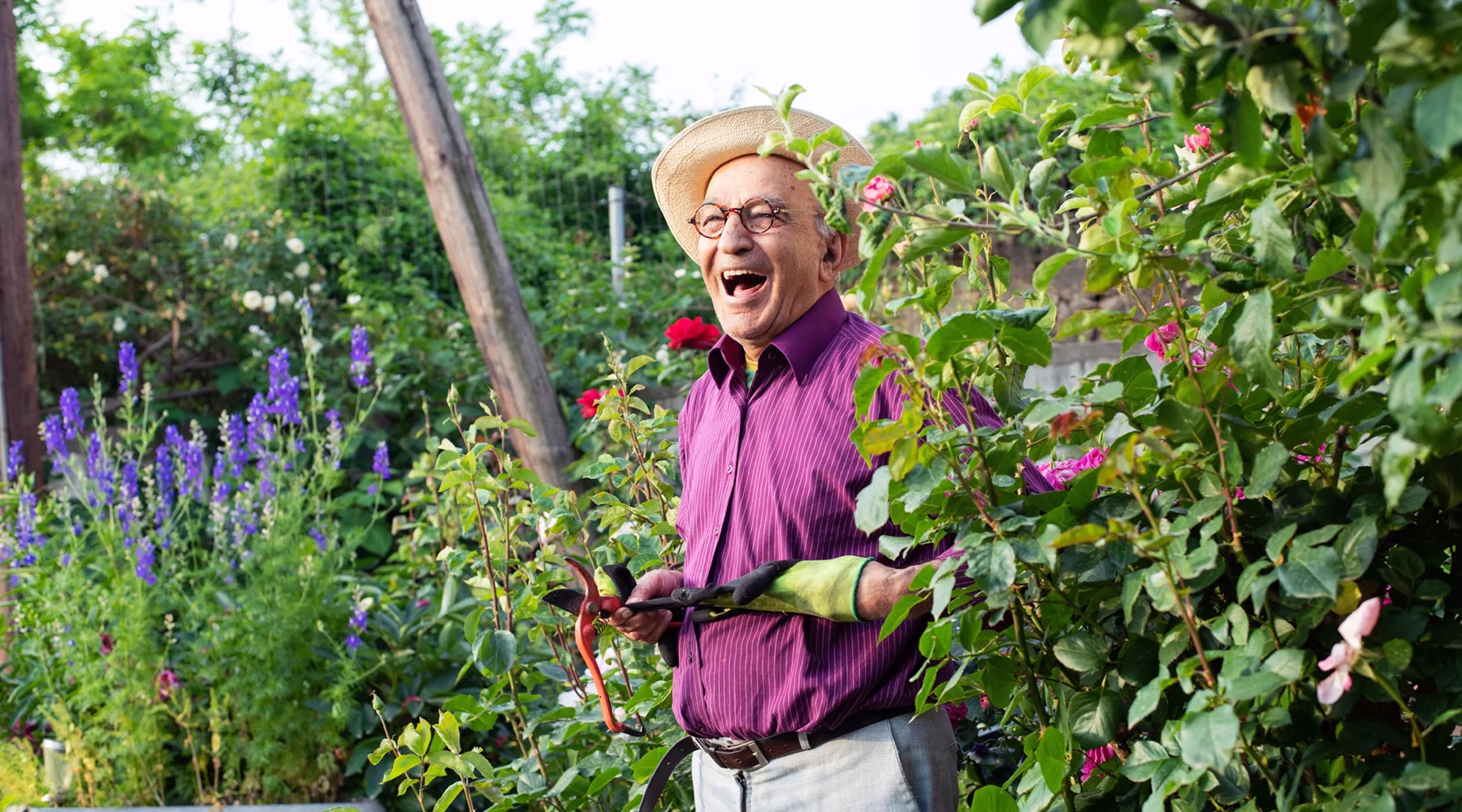 Man tending garden of flowers