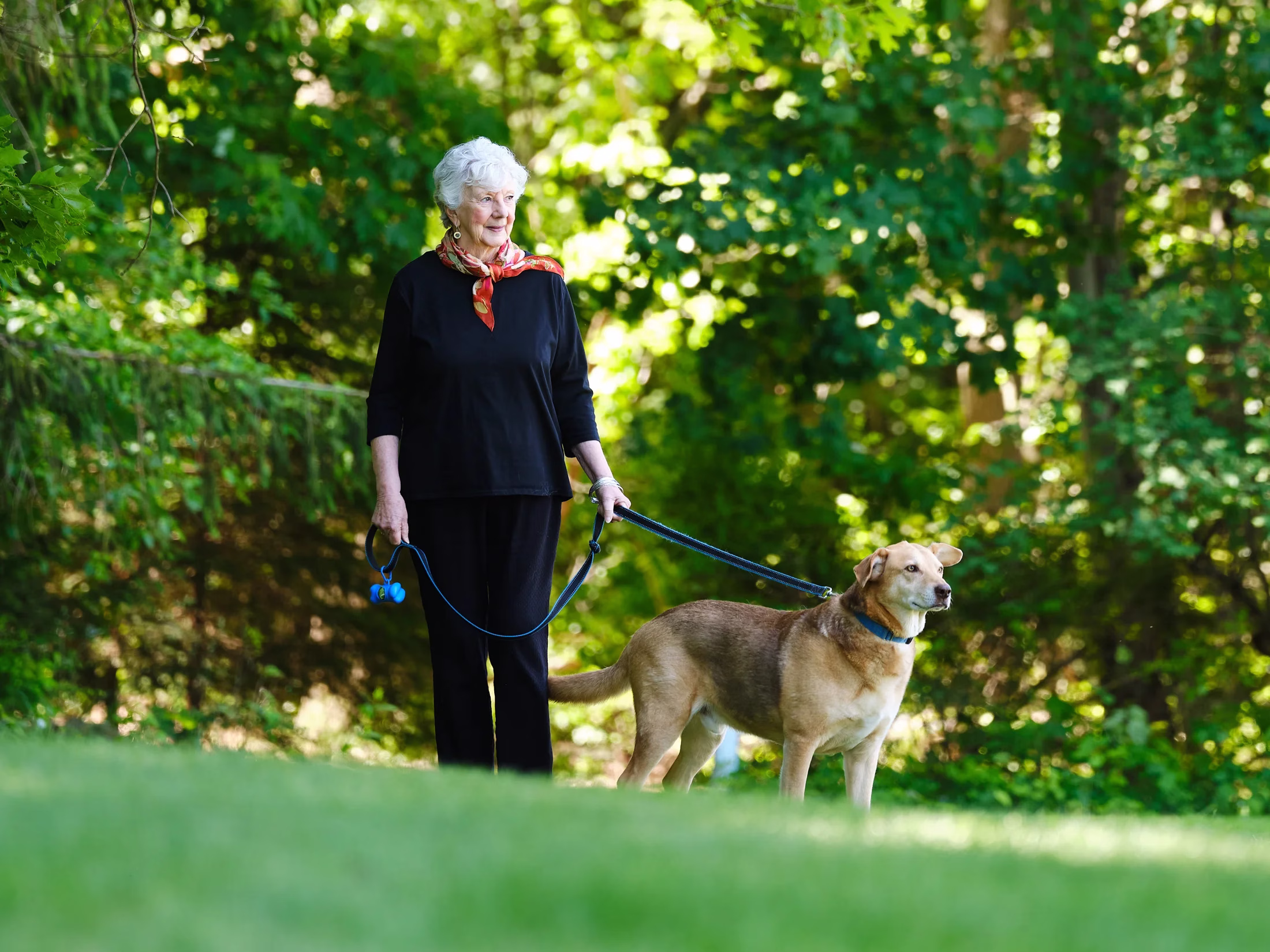 Woman walking dog on leash outside