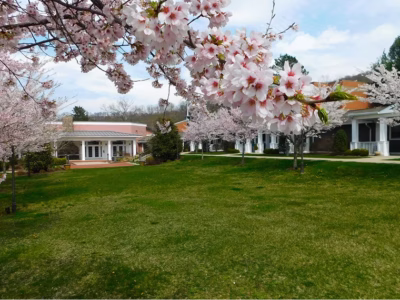 Exterior view of Heath Village's trees in bloom