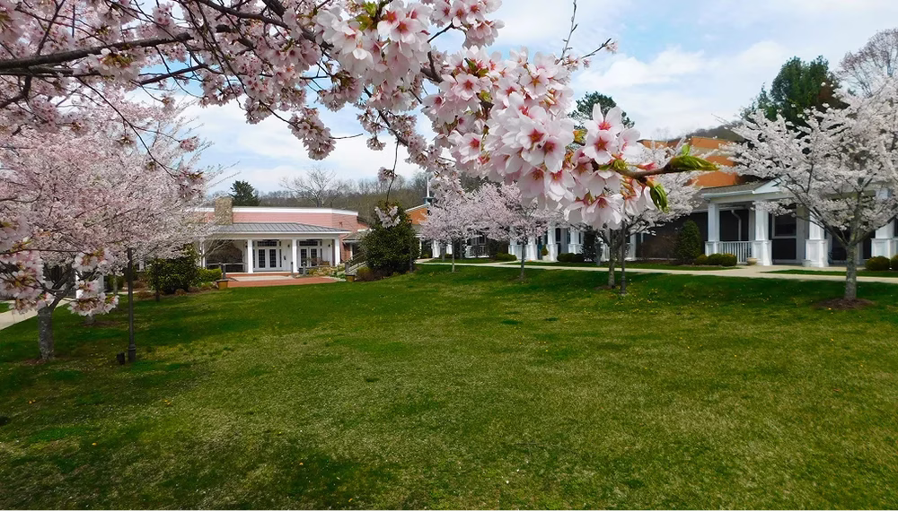 Exterior view of Heath Village's trees in bloom
